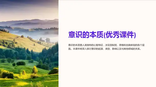 意识的本质(优秀课件)