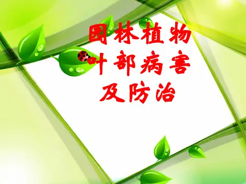 园林植物叶部病害及防治