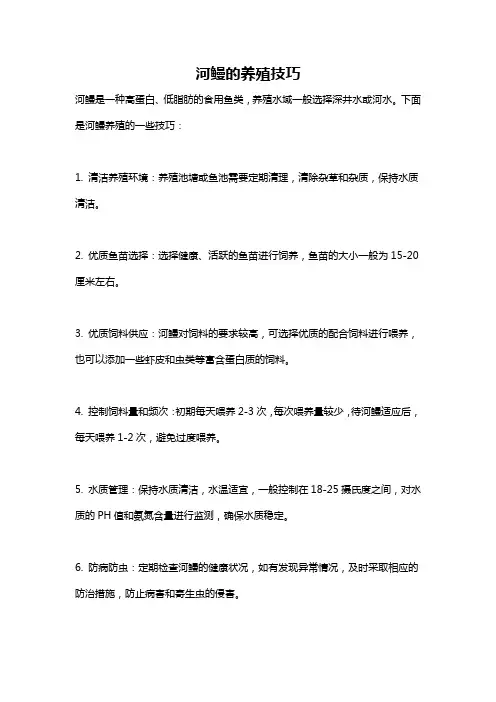 河鳗的养殖技巧