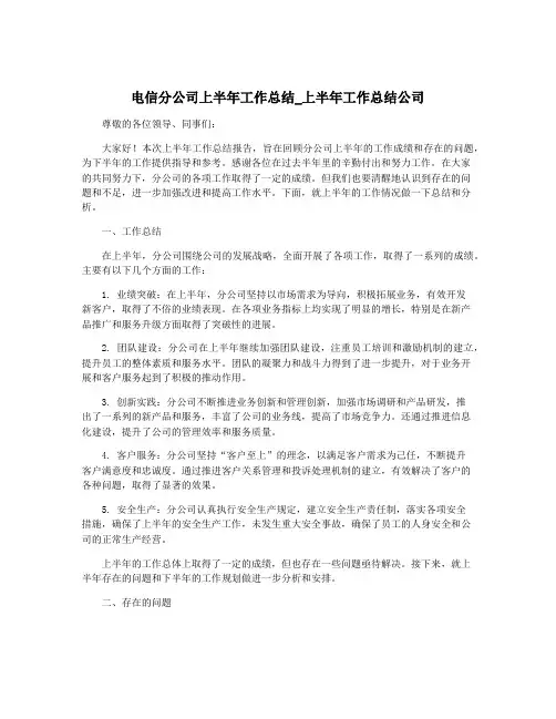 电信分公司上半年工作总结_上半年工作总结公司