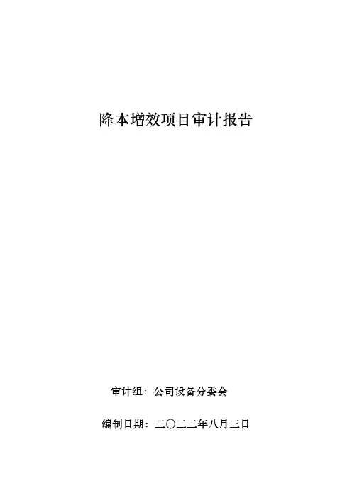 降本增效项目设备分委会审计报告