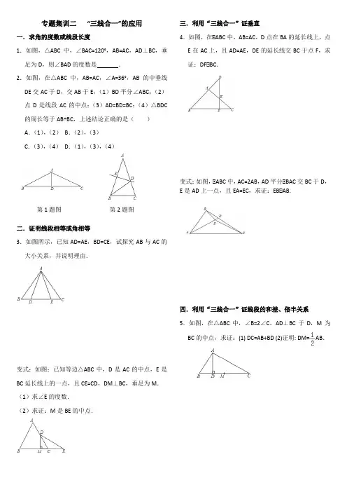 专题集训二 等腰三角形的三线合一