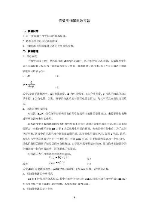 高效毛细管电泳实验