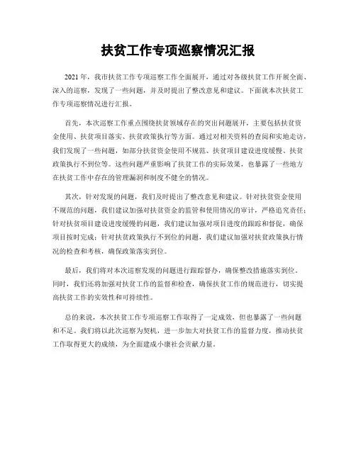 扶贫工作专项巡察情况汇报