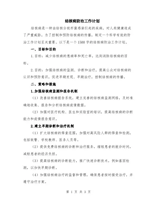 结核病防治工作计划