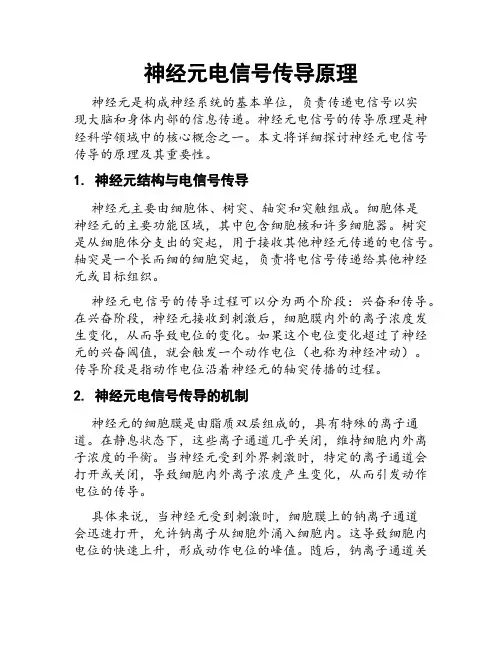 神经元电信号传导原理