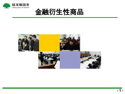 看涨期权和看跌期权