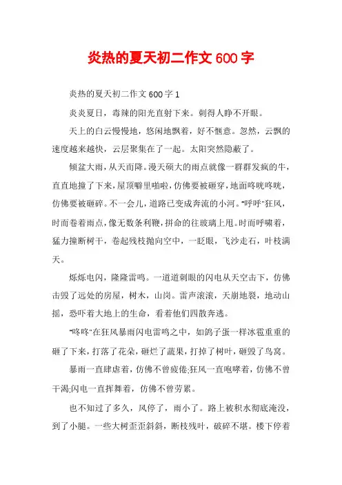 炎热的夏天初二作文600字