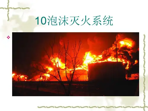 10 泡沫灭火系统