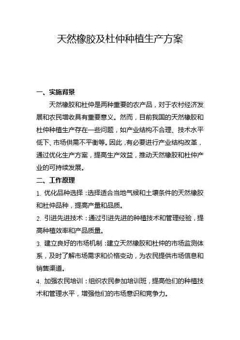 天然橡胶及杜仲种植生产方案(三)