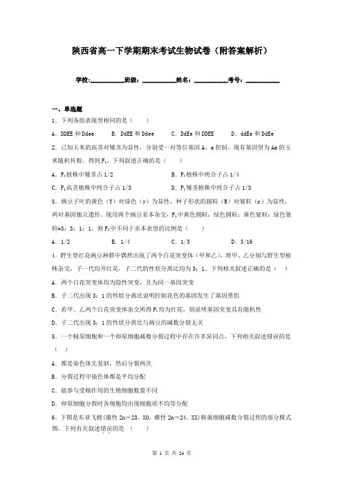 陕西省高一下学期期末考试生物试卷(附答案解析)