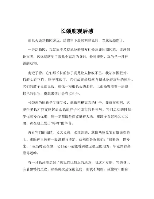 长颈鹿观后感