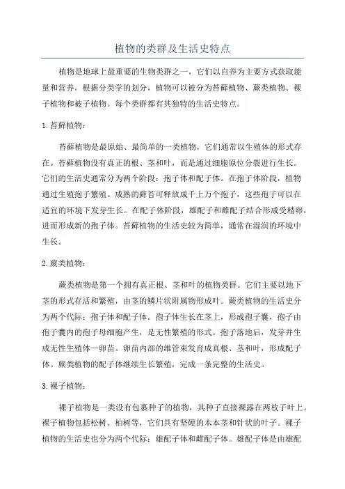 植物的类群及生活史特点