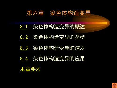 遗传学染色体结构变异