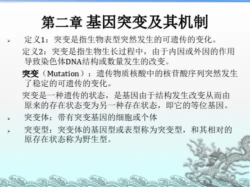 03 基因突变及其机制