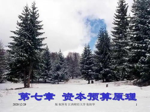 资本预算原理2530892376