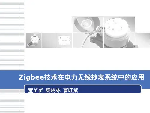 远程智能抄表系统简介  ppt课件