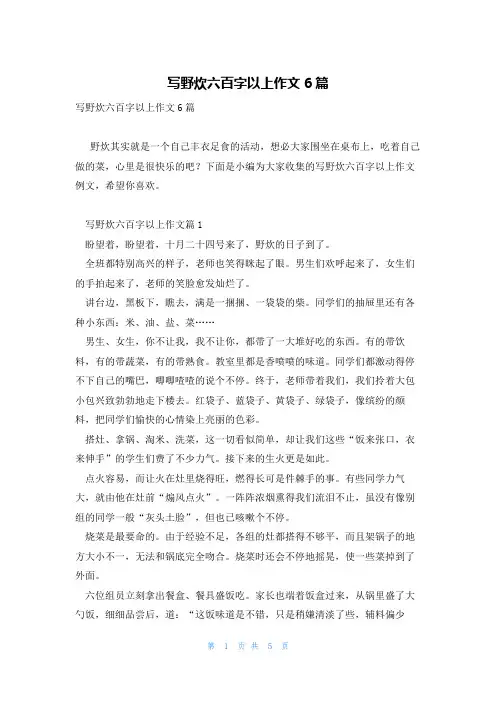 写野炊六百字以上作文6篇