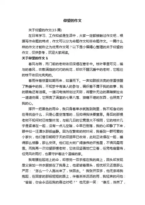 仰望的作文