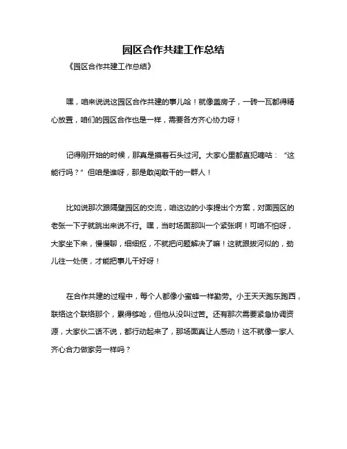 园区合作共建工作总结