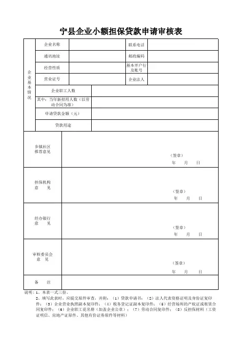 小额担保贷款申请审核表