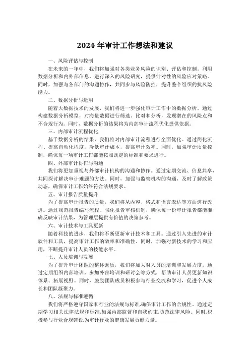 2024年审计工作想法和建议