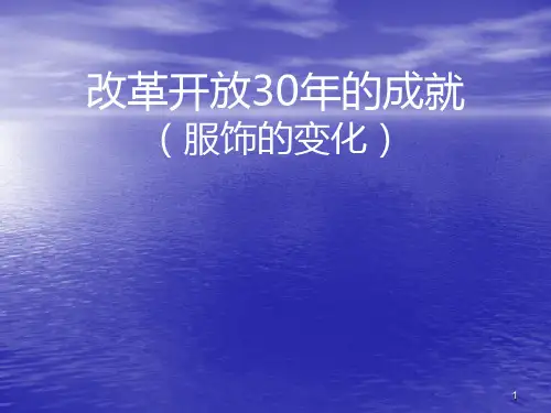 改革开放的成就PPT课件
