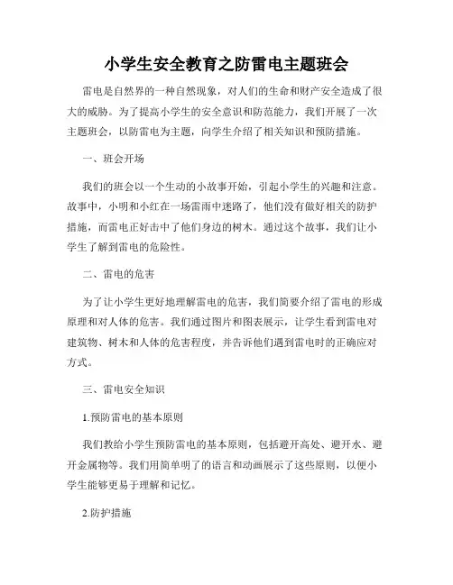 小学生安全教育之防雷电主题班会