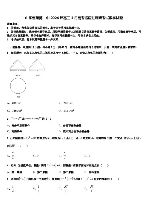 山东省莱芜一中2024届高三1月高考适应性调研考试数学试题