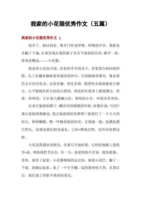 我家的小花猫优秀作文(五篇)
