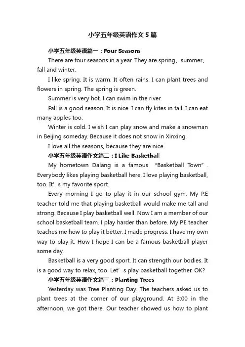 小学五年级英语作文5篇