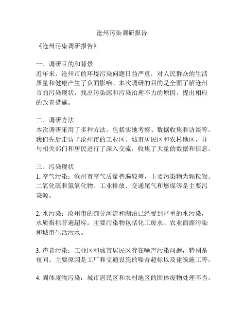 沧州污染调研报告