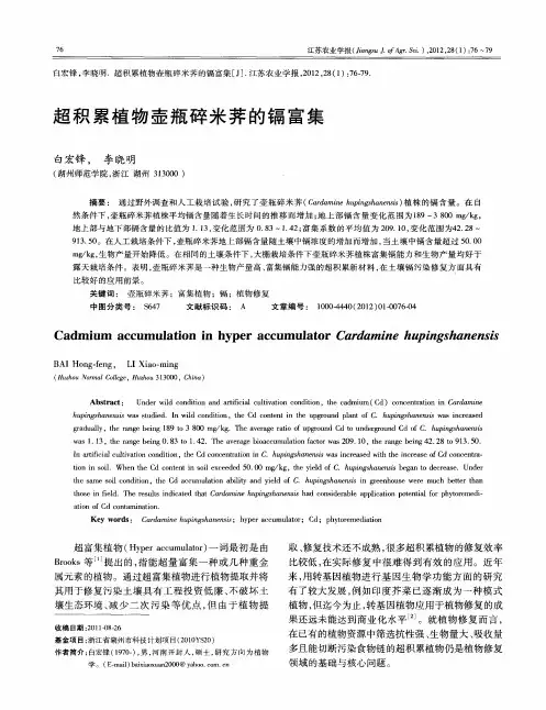 超积累植物壶瓶碎米荠的镉富集