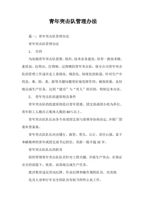 青年突击队管理办法