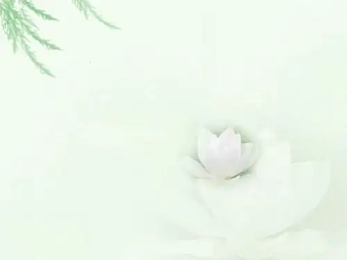 荷塘月色第二课时