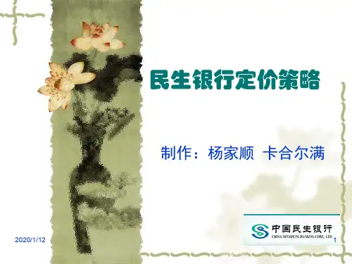 民生银行PSPPT课件