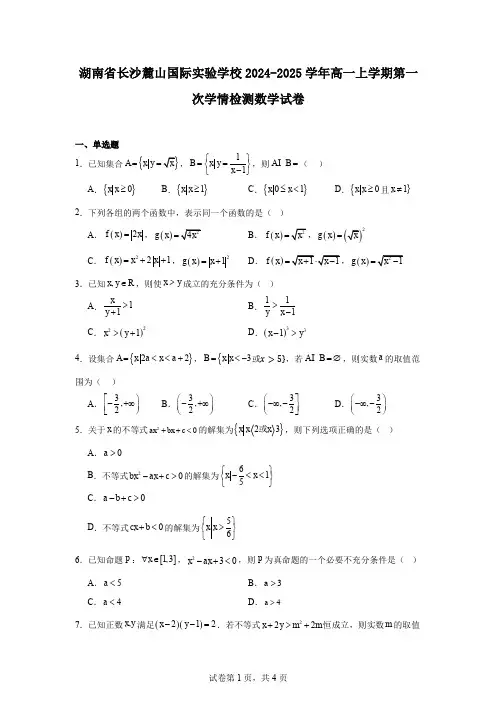 湖南省长沙麓山国际实验学校2024-2025学年高一上学期第一次学情检测数学试卷
