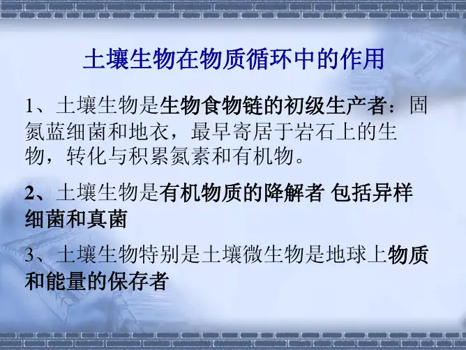 土壤生物在物质循环中的作用