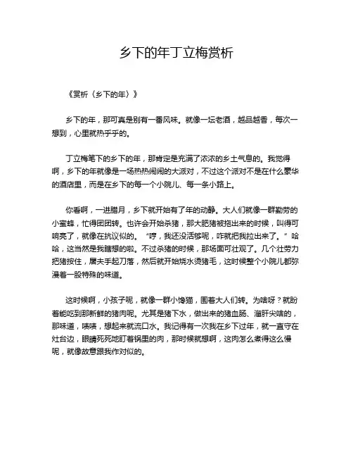 乡下的年丁立梅赏析