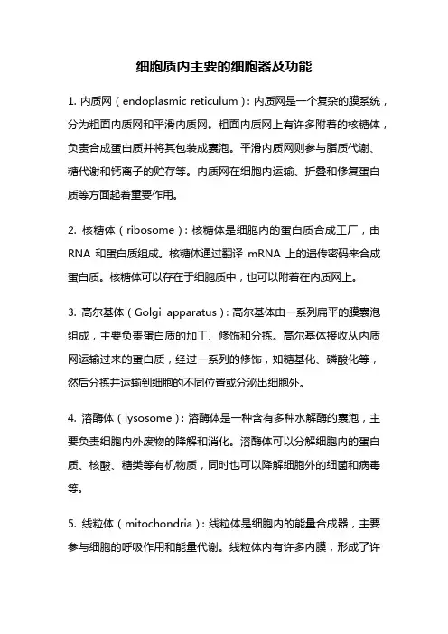 细胞质内主要的细胞器及功能