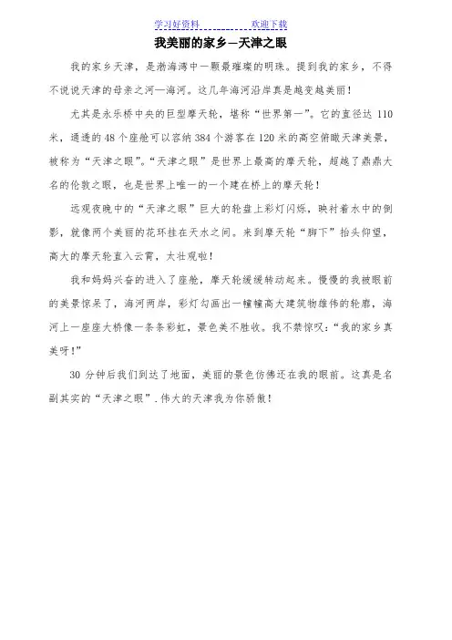 美丽的家乡--天津之眼(三年级)