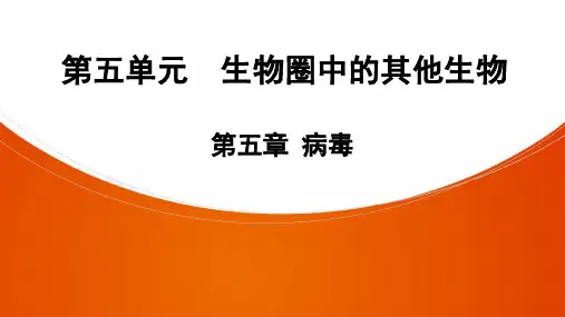 八年级上册生物第5章 病毒