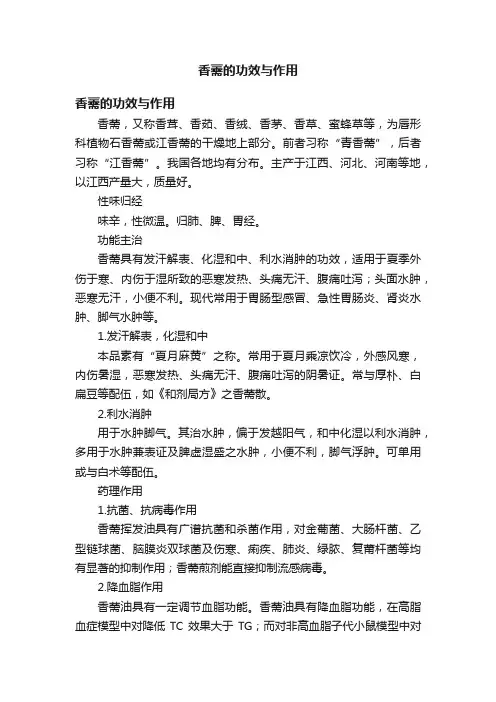 香薷的功效与作用