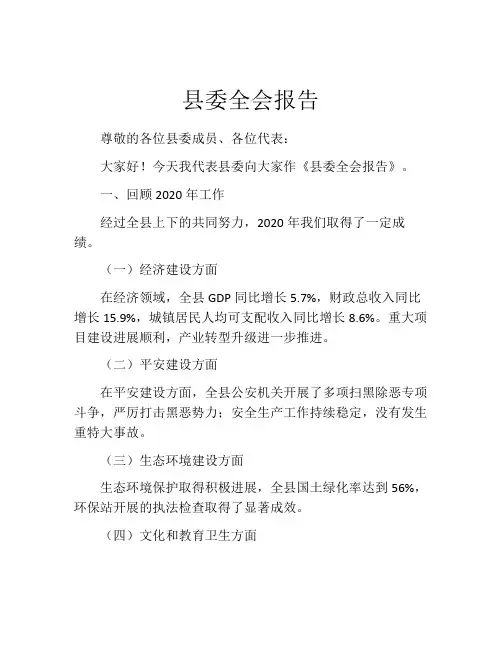 县委全会报告