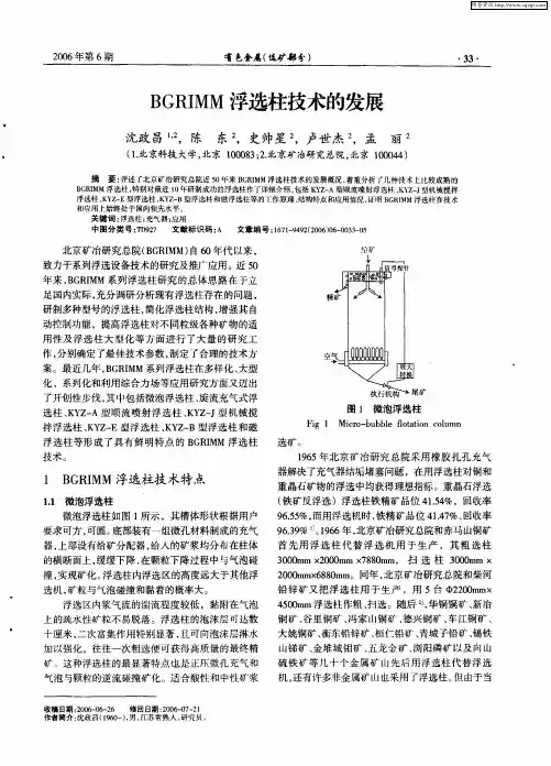 BGRIMM浮选柱技术的发展