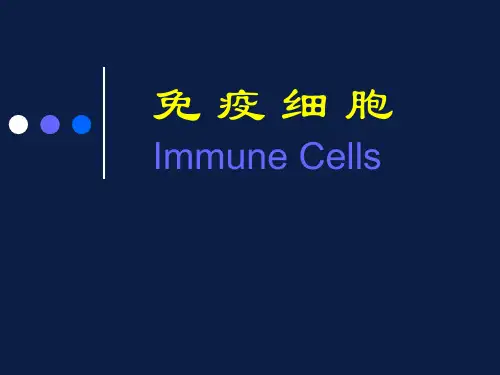 免疫细胞 ppt课件