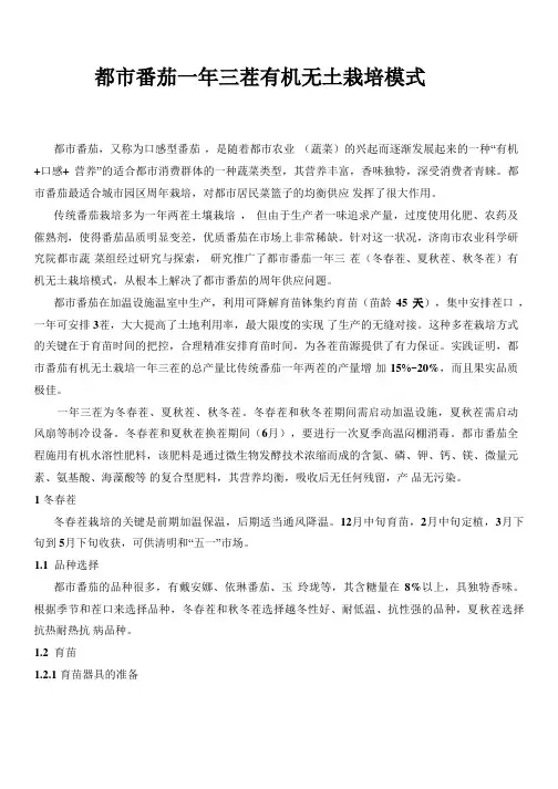 都市番茄一年三茬有机无土栽培模式