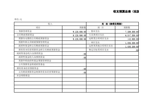 收支预算总表(批复表)