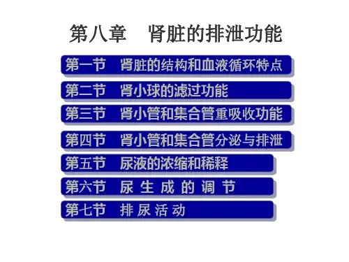 八、肾脏的排泄功能