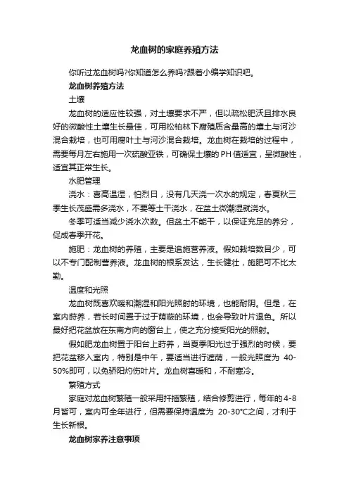 龙血树的家庭养殖方法